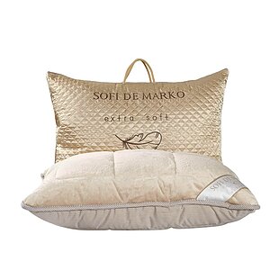 ������ ���� �� ����� ������ ����