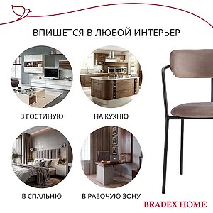  Bradexhome Ant  2-  