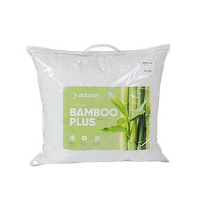 ������� Bamboo Plus � ���� 2010 �. � ������������� ���