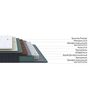 ������ Prestige Plus Firm
