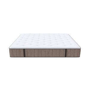 ������ Prestige Plus Firm