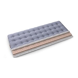 ������ ����� Megami � ������ �������: 8 ��. � �������� 1,5 ����