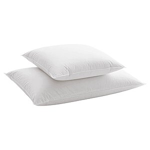 ������� Dauny Soft Plus 50 � ��� � ������� � ���������