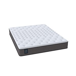 ������ ������ One Base Plush � ���� 28150 �. � ������ �������: 24 ��.