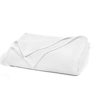 ����� ���� white