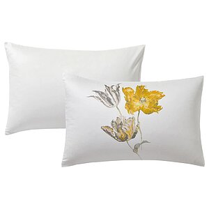 ������ �������� Blanc des Vosges Tulipe Mania Miel ��������