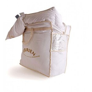 ������ Daunex Siberiano, ����������� � ��� � ������� � ������