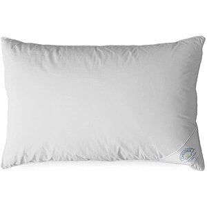 ������� ������� ����