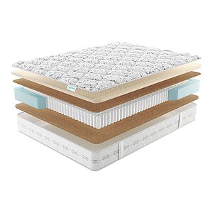 ������ Lonax Alden Pro S1000 � ����������� ��������� ����� � ������ �������: ������-������� � �������