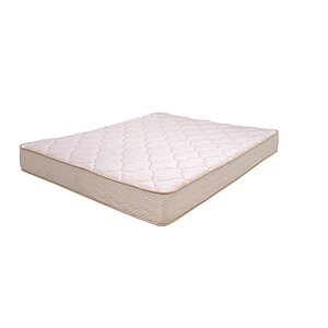 ������ S.O.U.L. Norma � ������ �������: ������-������� � ������� � �������� 1,5 ����