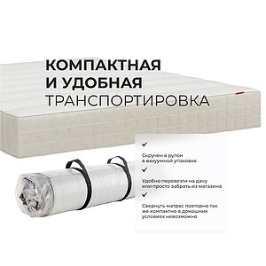 ������ Viking Ragnar