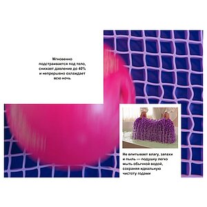 ������� darwin Adult � ���� 13489 �. � �������������� �����