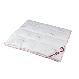 ������ Kariguz Tulips, ������ � ������