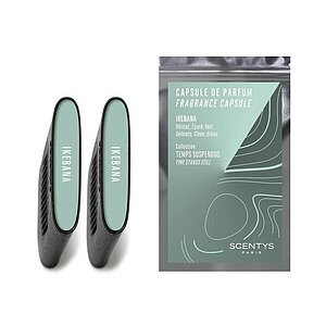 ������ ������������� ������� Scentys Ikebana ��������