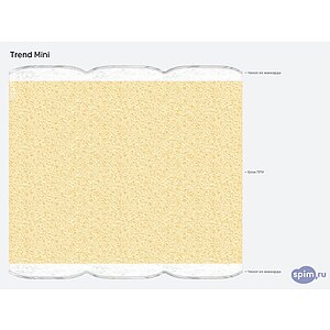 ������ Trend Mini