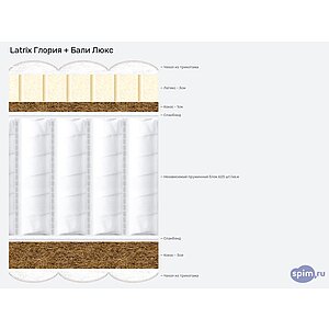 ������ Latrix ������ + ���� ����