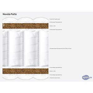 ������ Nuvola Forte