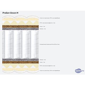 ������ ProSon Green M