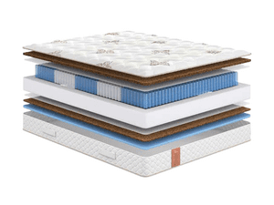 ������� Sonum Eco