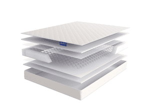 ������� Lineaflex Economica