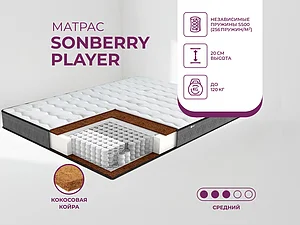 ������ ������ Sonberry Player