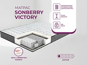 ������ ������ Sonberry Victory