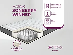 ������ ������ Sonberry Winner