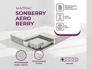 ������ ������ Sonberry Aero Berry