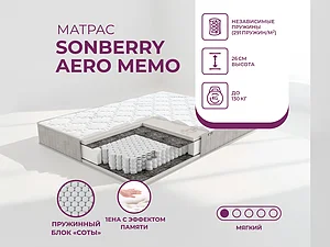 ������ ������ Sonberry Aero Memo