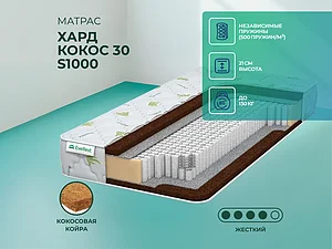 EveRest ���� ����� 30 S1000 65�200