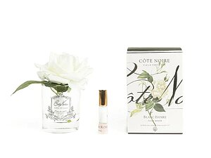 ���� Cote Noire French Rose Ivory ���. GMR01