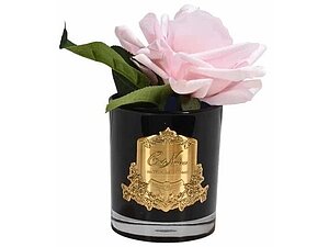 ���� Cote Noire French Rose Pink ���. GMRB06