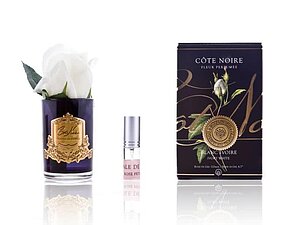 ���� Cote Noire Rose Bud Ivory ���. GMRB41