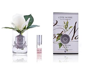 ���� Cote Noire Rose Bud Ivory ���. GMR41