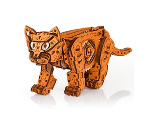 ������ ����������� Ewa ������� �����