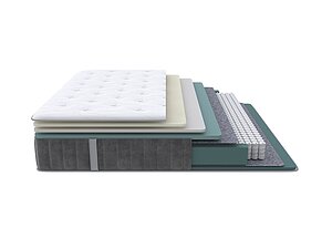 ������ ������ ProSon Prestige Plus Soft