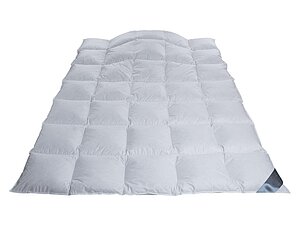 ������ ������ Johann Hefel Platinum Down GDCS, �����������