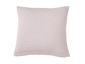 ������������ ������� Blanc des Vosges Electre Poudre 45�45