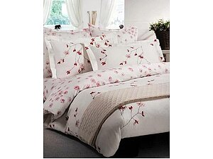   Mirabello Rose Hiver