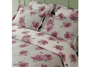   Mirabello Queen Rose