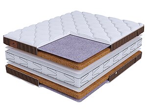 BeautySon Life Cocos Double S2400 65�200