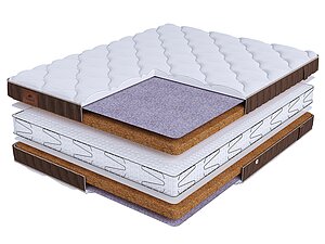 BeautySon Life Cocos Double S600