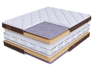 BeautySon Life Latex Double S600