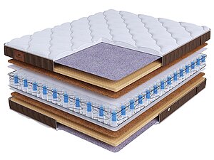 BeautySon Life Prestige DS
