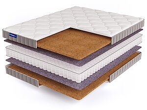������ ������ BeautySon Promo 11 S600 110�150