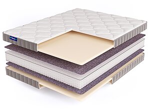 BeautySon Promo 3 S1200 65�200