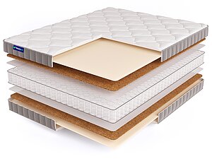 BeautySon Promo 6 S600 65�200