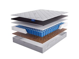 ������ ������ Lineaflex Juventus Active