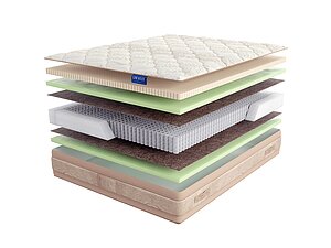 Lineaflex Qween Latex