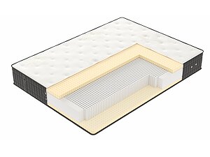 ������ ������ Vegas X8 65�200